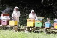 Le dernier EL CONDOR