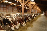 Le Grand Répertoire de EL CONDOR